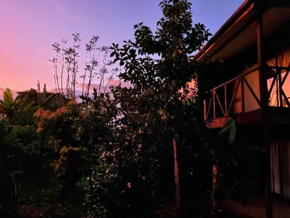 Hotel Marari Rapa Nui Hanga Roa Exteriér fotografie