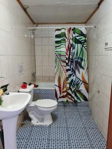 Hotel Marari Rapa Nui Hanga Roa Exteriér fotografie